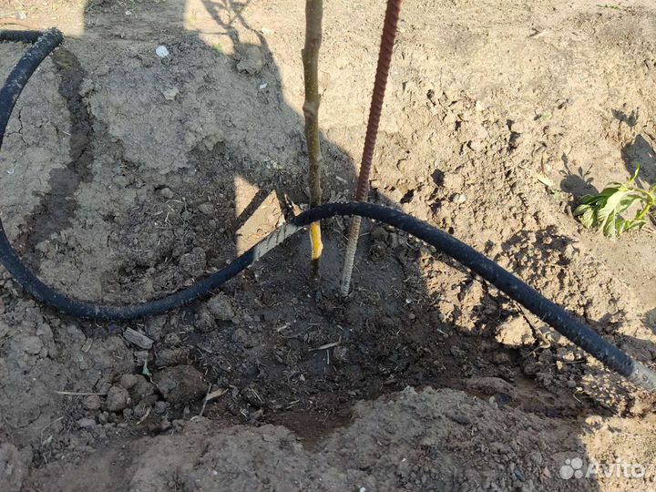 Шланг для капельного полива