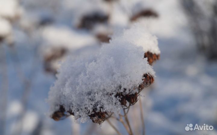 Фотоаппарат