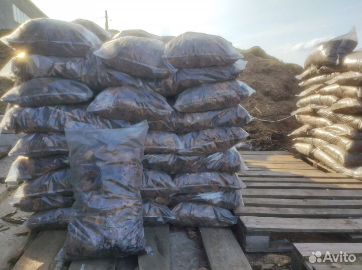 Мульча кора лиственницы и сосны