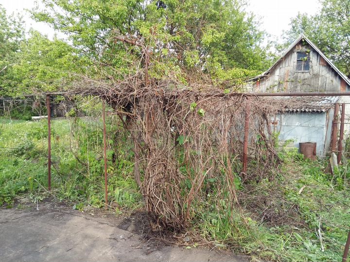 Дача 10 м² на участке 5,1 сот.