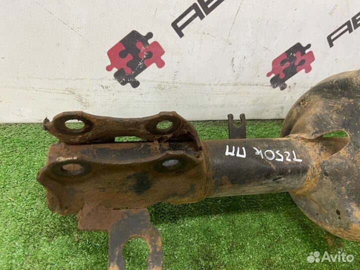 Амортизатор в сборе передний правый Aveo T250