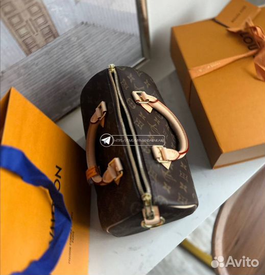 Louis vuitton speedy 25 сумка