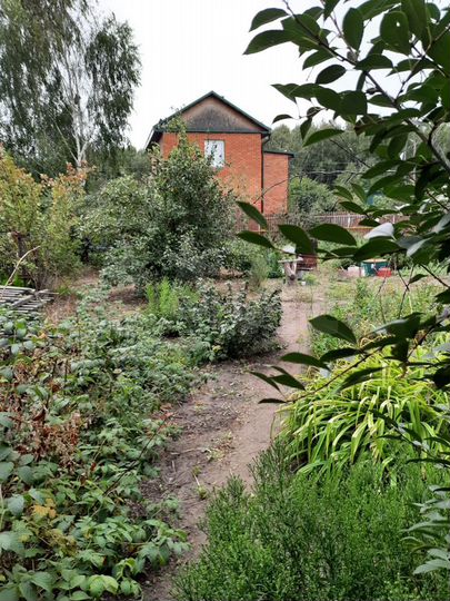 Участок 6,8 сот. (СНТ, ДНП)