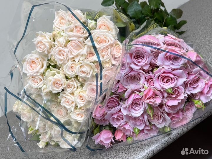 21,31,51, 101 Кустовая Роза, 25, 31,51,101 Роза