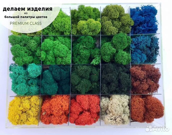 Панели из мха в дом