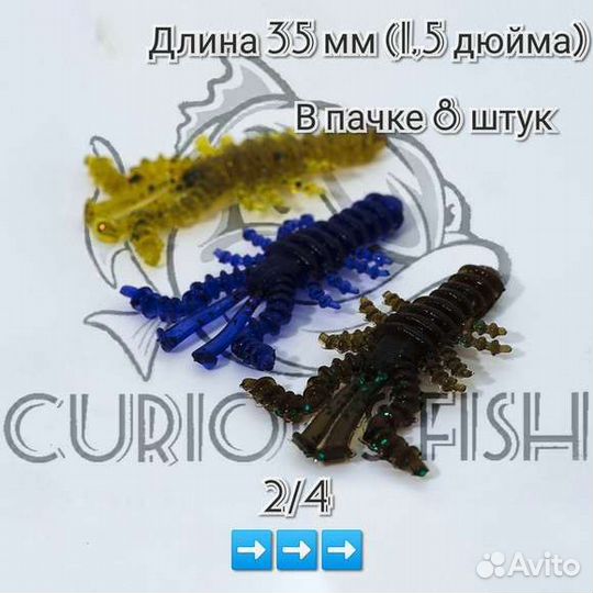Curious Fish Mosya 1.5 дюйма (3,5см)