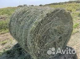 Сено люцерны в рулонах