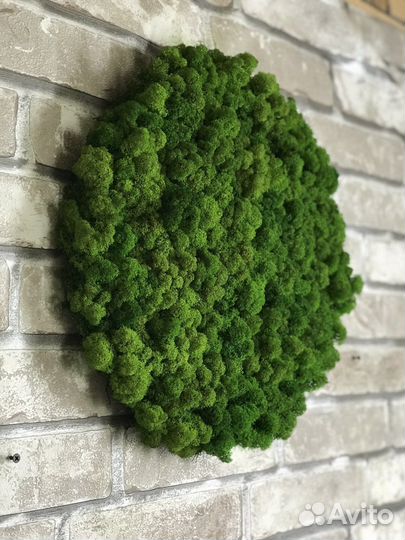 Панно круг 30 см из стабилизированного мха