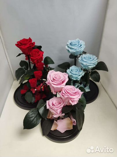 Подарок на новый год/ Роза в колбе