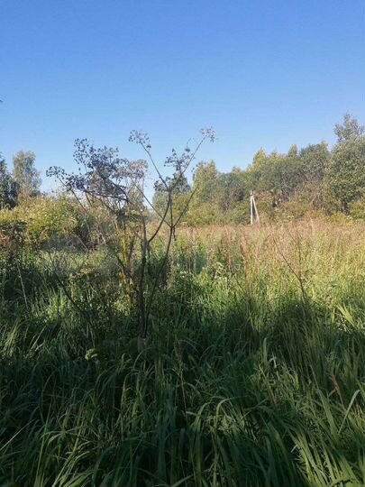 Участок 15 сот. (СНТ, ДНП)