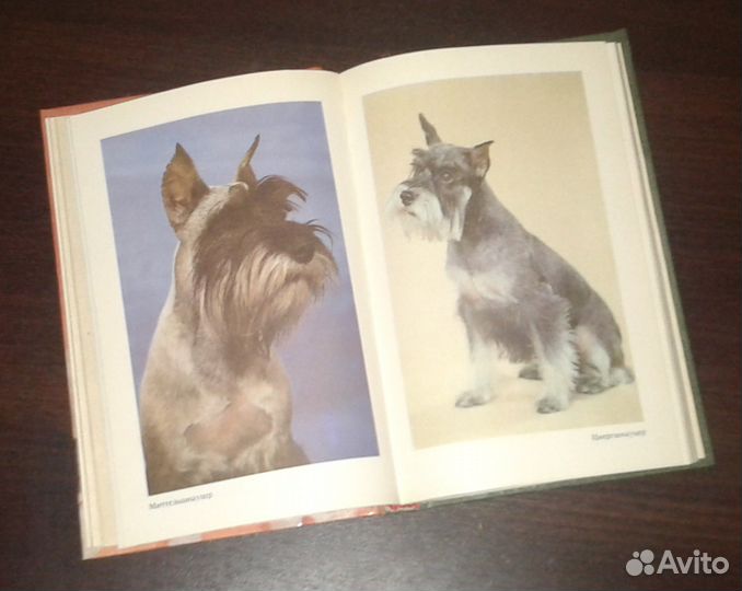 Книги о собаках