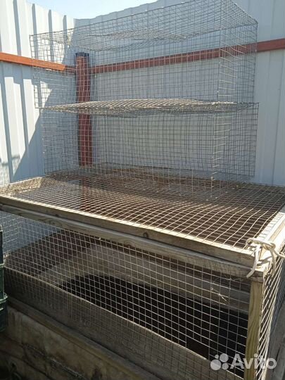 Клетки для кур, цыплят и кроликов, кормушки,поил