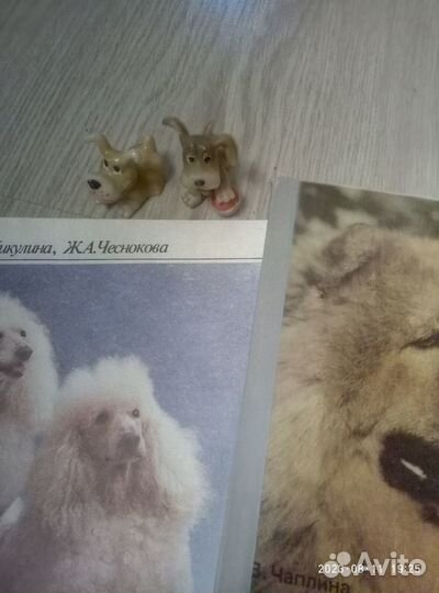 Книги о животных одним лотом