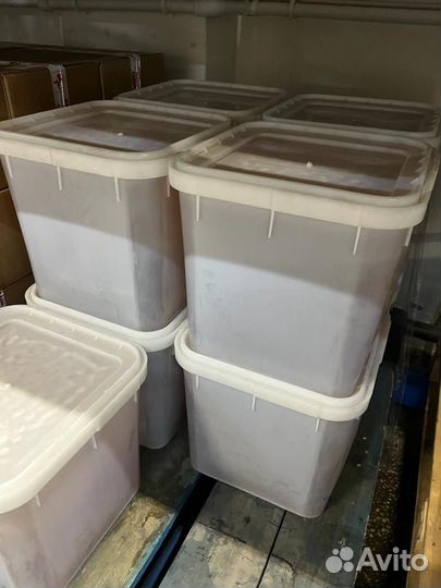 Мед оптом / дягилевый темный