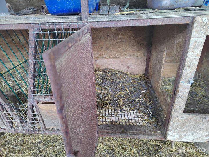 Клетка для кролика