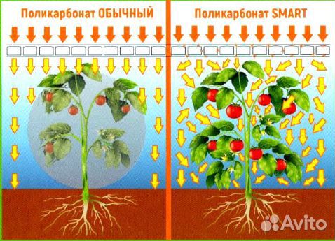 Поликарбонат 