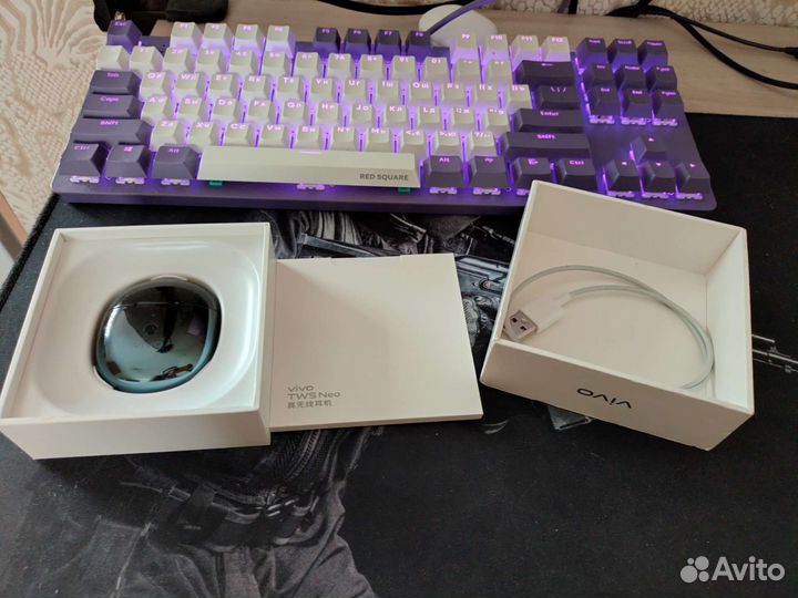 Vivo TWS Neo