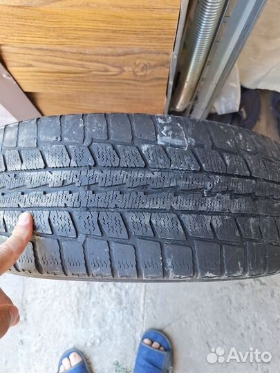 Dunlop Graspic DS2 205/60 R16