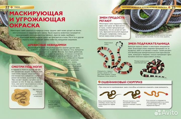 Змеи. Детская энциклопедия. Джонатан Шейх