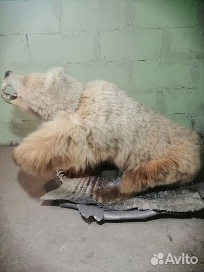 Статуэтка Медведя, фигурка животного