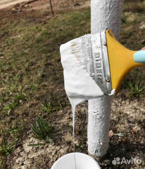 Краска для деревьев и кустарников