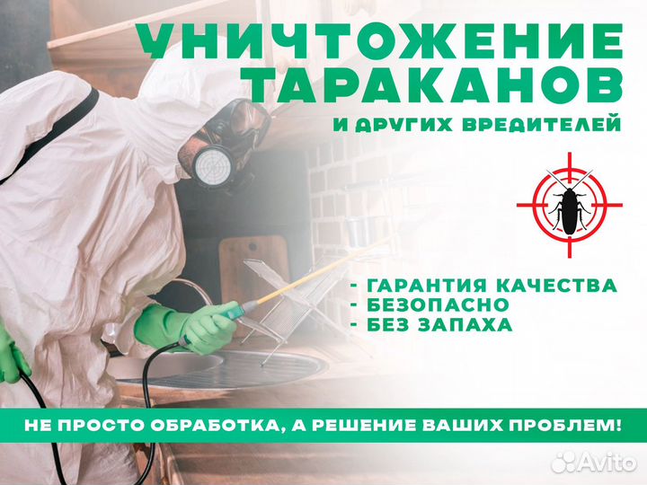 Уничтожение тараканов клопов клещей комаров