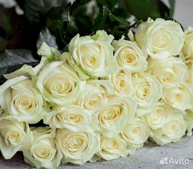 Розы Цветы Букеты 25 151 201 101 301 501 опт
