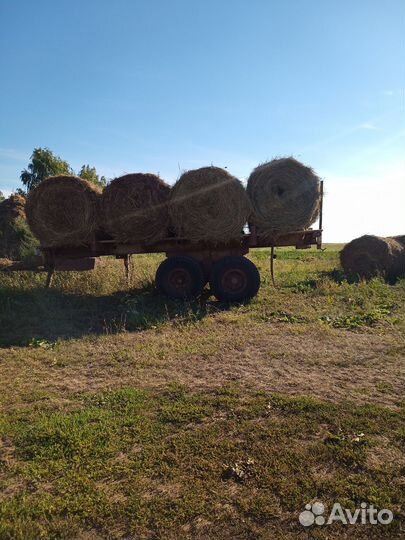 Сено в рулонах