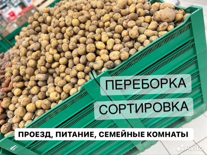 Вахта с жильем и проездом сортировщик