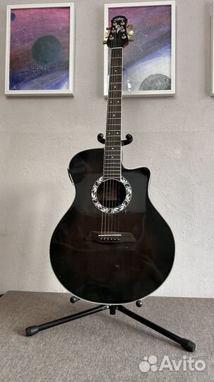 Электроакустика Aria Rea 500 Japan