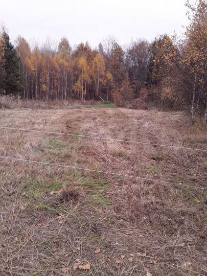 Участок 16 сот. (СНТ, ДНП)