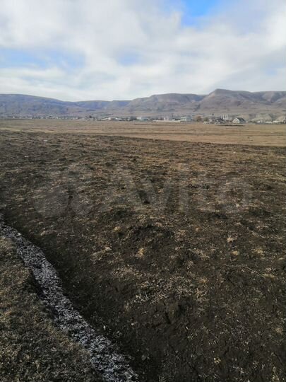 Участок 4 сот. (СНТ, ДНП)