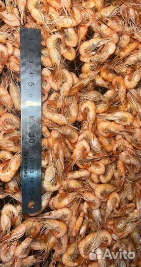 Креветка азовская вареная