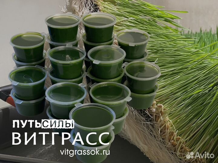 Витграсс - сок из ростков Пшеницы