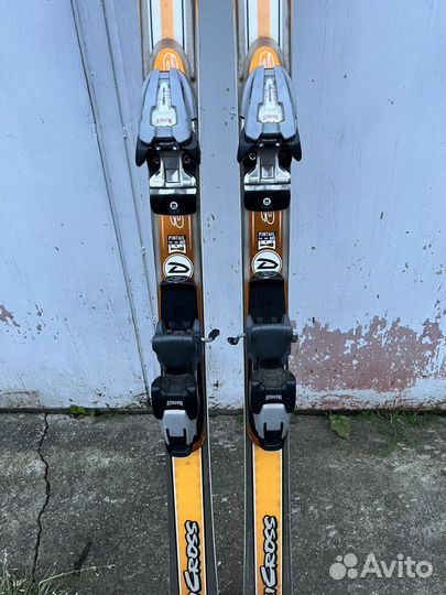 Горные лыжи