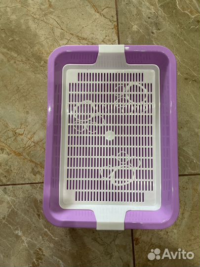 Лоток для котят