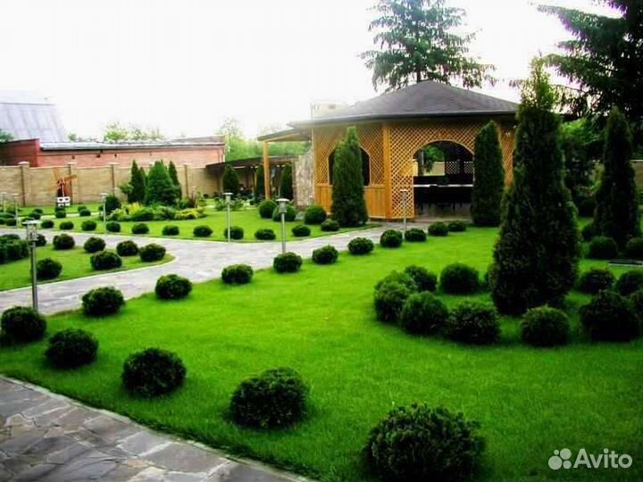 Укладка и продажа газона