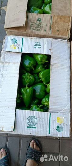 Продам перец под заказ, сбор на следующей неделе