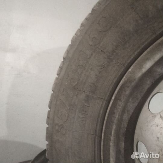 Delta Velozza ZXV4 175/75 R16