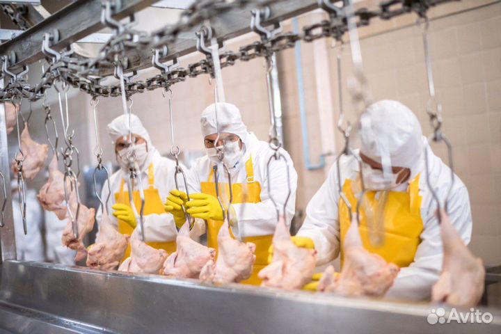 Фасовщик на птицефабрику/Вахта/30/45/60/Калуга