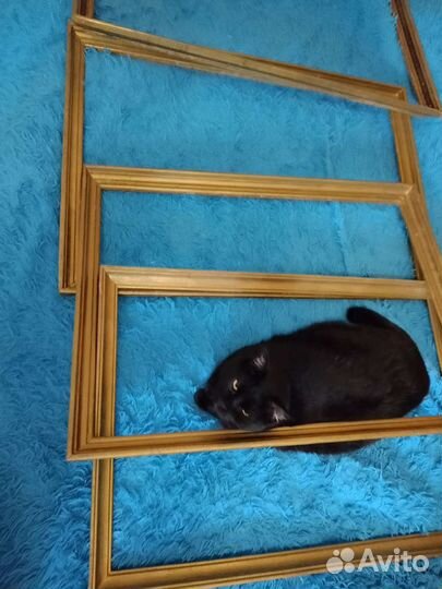 Подрамники