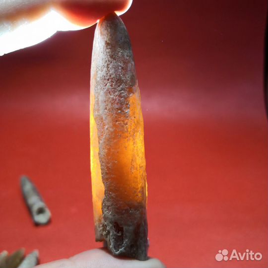 Окаменелости. Белемниты. с.Поддубное