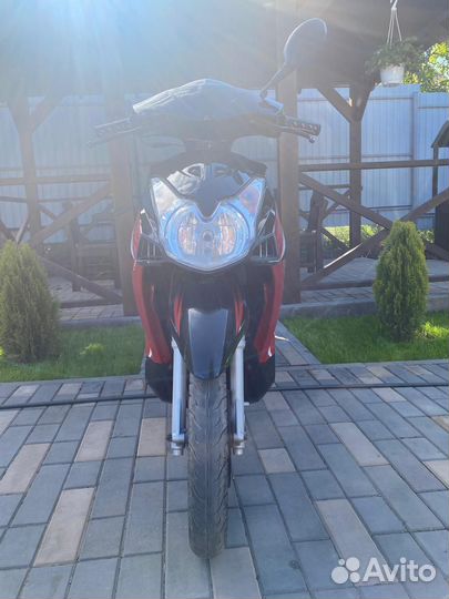 Скутер nexus bird 50