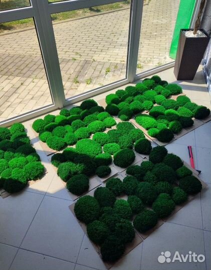 Мох для декора помещений яркие кочки