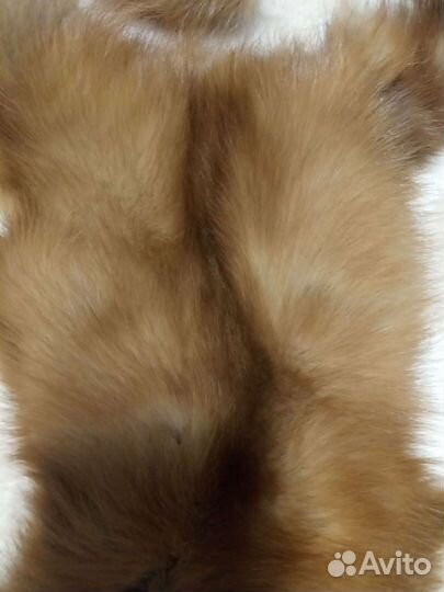 Шкурки животных