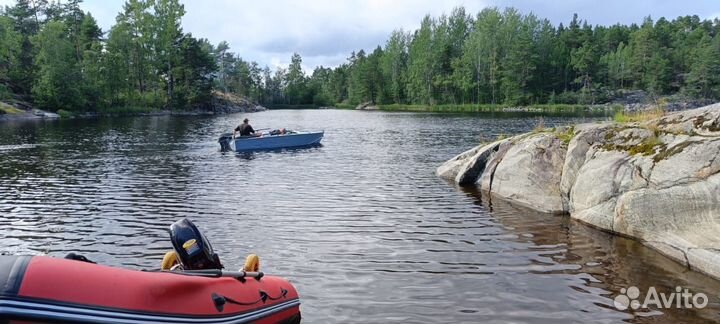 Evinrude 2тактный