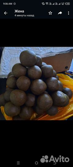 Продам прополис