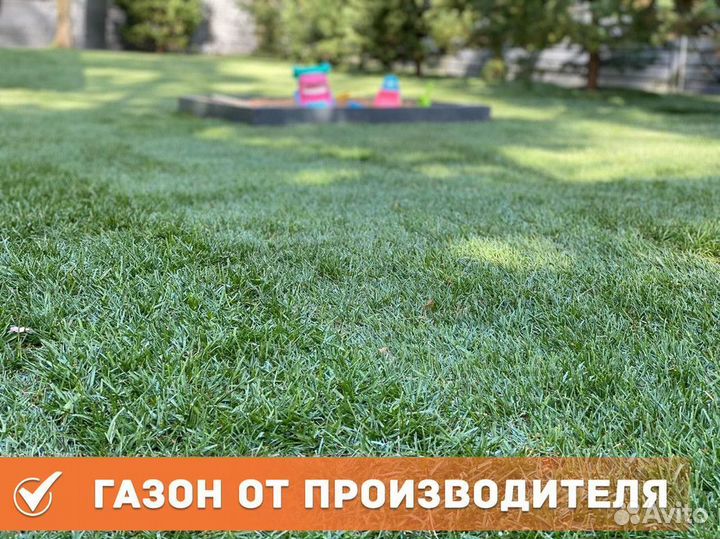 Рулонный газон с доставкой