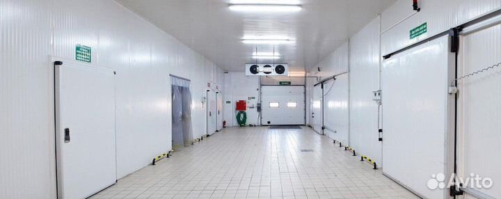 Морозильные камеры бу. В наличии более 700 шт