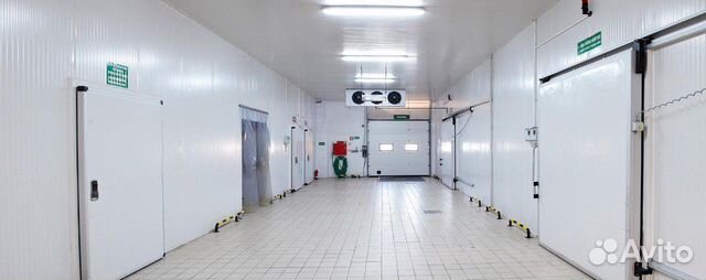 Морозильные камеры бу. В наличии более 700 шт